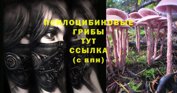 мяу мяу мука Богородск