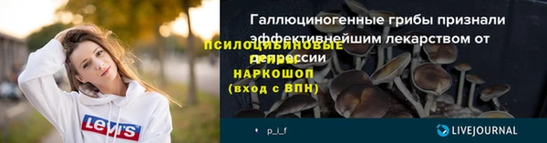 марки lsd Богданович