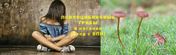 стаф Богородицк