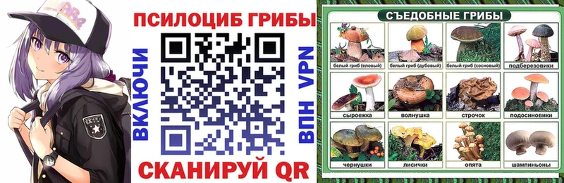 Псилоцибиновые грибы ЛСД  OMG ONION  Реутов  купить наркоту 