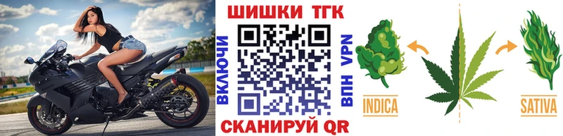 Конопля гибрид  Реутов 